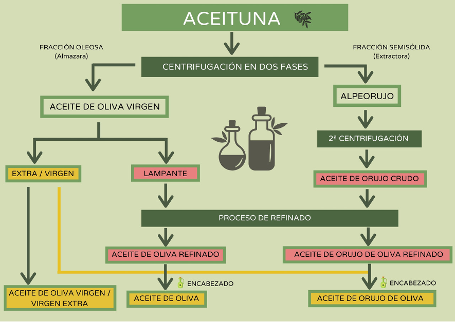 Obtención de las cuatro categorías de aceites procedentes del olivar